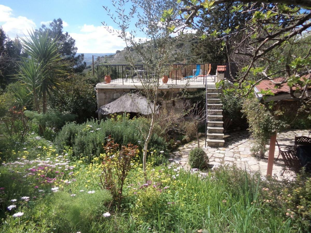 Oleander Stone House Villa Lemona ภายนอก รูปภาพ